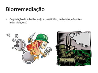 Biorremediação
• Degradação de substâncias (p.e. Inseticidas, herbicidas, efluentes
industriais, etc.)
 