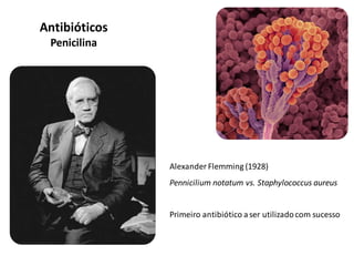 Alexander Flemming (1928)
Pennicilium notatum vs. Staphylococcus aureus
Primeiro antibiótico aser utilizadocom sucesso
Antibióticos
Penicilina
 