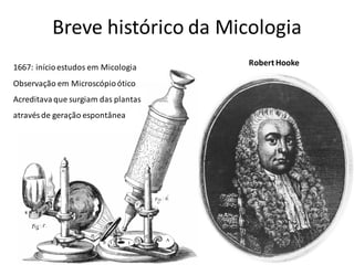 Breve histórico da Micologia
1667: inícioestudos em Micologia
Observação em Microscópioótico
Acreditava que surgiam das plantas
através de geração espontânea
Robert Hooke
 