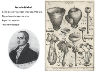 Antonio Micheli
1729: descreveu e identificou ca. 900 spp.
Organismos independentes
Papel dos esporos
“Pai da micologia”
 