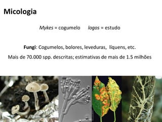 Mykes = cogumelo logos = estudo
Fungi: Cogumelos, bolores, leveduras, líquens, etc.
Mais de 70.000 spp. descritas; estimativas de mais de 1.5 milhões
Micologia
 
