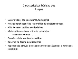 Características básicas dos
fungos
• Eucarióticos, não vasculares, terrestres
• Nutrição por absorção (aclorofilados e heterotróficos)
• Não formam tecidos verdadeiros
• Maioria filamentosa, minoria unicelular
Filamentos  Hifas
• Parede celular contendoquitina
• Reserva na forma de glicogênio
• Reprodução através de esporos meióticos (sexual) e mitóticos
(assexual)
 