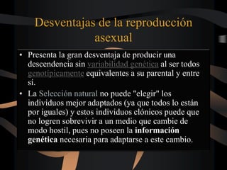 Desventajas de la reproducción
asexual
• Presenta la gran desventaja de producir una
descendencia sin variabilidad genética al ser todos
genotípicamente equivalentes a su parental y entre
sí.
• La Selección natural no puede "elegir" los
individuos mejor adaptados (ya que todos lo están
por iguales) y estos individuos clónicos puede que
no logren sobrevivir a un medio que cambie de
modo hostil, pues no poseen la información
genética necesaria para adaptarse a este cambio.
 