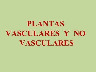 PLANTAS  
VASCULARES  Y  NO  
VASCULARES
 