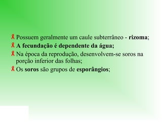 Possuem geralmente um caule subterrâneo - rizoma;
A fecundação é dependente da água;
Na época da reprodução, desenvolvem-se soros na
porção inferior das folhas;
Os soros são grupos de esporângios;

 