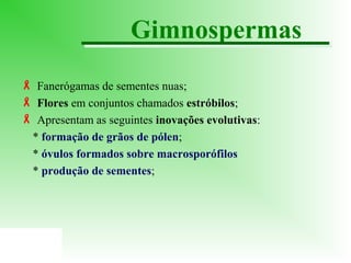 Gimnospermas
 Fanerógamas de sementes nuas;
 Flores em conjuntos chamados estróbilos;
 Apresentam as seguintes inovações evolutivas:
* formação de grãos de pólen;
* óvulos formados sobre macrosporófilos
* produção de sementes;

 