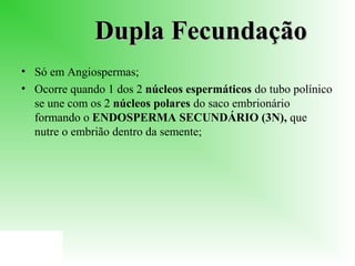 Dupla Fecundação
• Só em Angiospermas;
• Ocorre quando 1 dos 2 núcleos espermáticos do tubo polínico
se une com os 2 núcleos polares do saco embrionário
formando o ENDOSPERMA SECUNDÁRIO (3N), que
nutre o embrião dentro da semente;

 