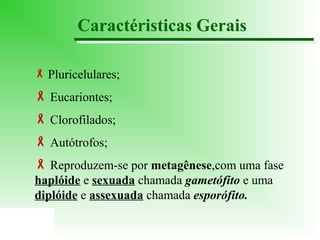 Caractéristicas Gerais
 Pluricelulares;

 Eucariontes;
 Clorofilados;
 Autótrofos;
 Reproduzem-se por metagênese,com uma fase
haplóide e sexuada chamada gametófito e uma
diplóide e assexuada chamada esporófito.

 
