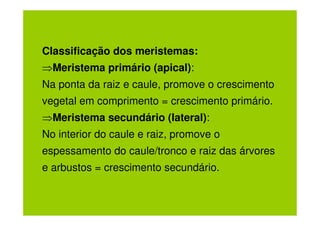 Classificação dos meristemas:
⇒Meristema primário (apical):
Na ponta da raiz e caule, promove o crescimento
vegetal em comprimento = crescimento primário.
⇒Meristema secundário (lateral):
No interior do caule e raiz, promove o
espessamento do caule/tronco e raiz das árvores
e arbustos = crescimento secundário.
 