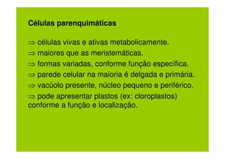 Células parenquimáticas

⇒ células vivas e ativas metabolicamente.
⇒ maiores que as meristemáticas.
⇒ formas variadas, conforme função específica.
⇒ parede celular na maioria é delgada e primária.
⇒ vacúolo presente, núcleo pequeno e periférico.
⇒ pode apresentar plastos (ex: cloroplastos)
conforme a função e localização.
 