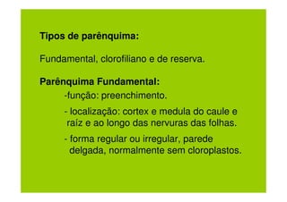 Tipos de parênquima:

Fundamental, clorofiliano e de reserva.

Parênquima Fundamental:
     -função: preenchimento.
     - localização: cortex e medula do caule e
      raíz e ao longo das nervuras das folhas.
     - forma regular ou irregular, parede
       delgada, normalmente sem cloroplastos.
 
