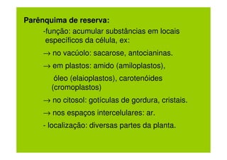 Parênquima de reserva:
     -função: acumular substâncias em locais
      específicos da célula, ex:
     → no vacúolo: sacarose, antocianinas.
     → em plastos: amido (amiloplastos),
        óleo (elaioplastos), carotenóides
       (cromoplastos)
     → no citosol: gotículas de gordura, cristais.
     → nos espaços intercelulares: ar.
     - localização: diversas partes da planta.
 