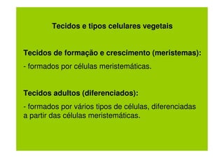 Tecidos e tipos celulares vegetais


Tecidos de formação e crescimento (meristemas):
- formados por células meristemáticas.


Tecidos adultos (diferenciados):
- formados por vários tipos de células, diferenciadas
a partir das células meristemáticas.
 