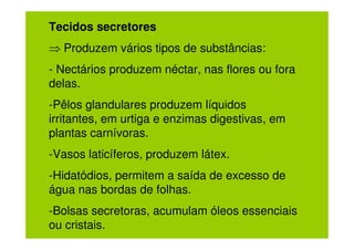 Tecidos secretores
⇒ Produzem vários tipos de substâncias:
- Nectários produzem néctar, nas flores ou fora
delas.
-Pêlos glandulares produzem líquidos
irritantes, em urtiga e enzimas digestivas, em
plantas carnívoras.
-Vasos laticíferos, produzem látex.
-Hidatódios, permitem a saída de excesso de
água nas bordas de folhas.
-Bolsas secretoras, acumulam óleos essenciais
ou cristais.
 