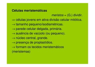 Células meristemáticas
                           meristos = (G.) dividir.
⇒ células jovens em ativa divisão celular mitótica.
→ tamanho pequeno/isodiamétricas.
→ parede celular delgada, primária.
→ ausência de vacúolo (ou pequeno).
→ núcleo central, grande.
→ presença de proplastídios.
→ formam os tecidos meristemáticos
(meristemas)
 