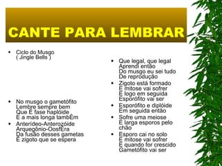 CANTE PARA LEMBRAR Ciclo do Musgo ( Jingle Bells ) No musgo o gametófito Lembre sempre bem Que é fase haplóide E a mais longa também Anterídeo-Anterozóide Arquegônio-Oosféra Da fusão desses gametas É zigoto que se espera Que legal, que legal Aprendi então Do musgo eu sei tudo De reprodução Zigoto está formado E mitose vai sofrer E logo em seguida Esporófito vai ser Esporófito e diplóide Em seguida então Sofre uma meiose E larga esporos pelo chão Esporo cai no solo E mitose vai sofrer E quando for crescido Gametófito vai ser 