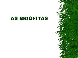 AS BRIÓFITAS 