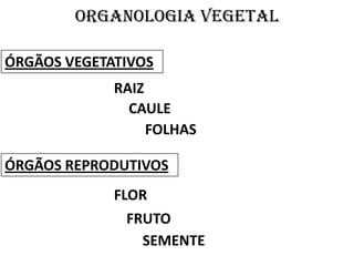 Organologia vegetal

ÓRGÃOS VEGETATIVOS
             RAIZ
               CAULE
                  FOLHAS

ÓRGÃOS REPRODUTIVOS
             FLOR
               FRUTO
                 SEMENTE
 
