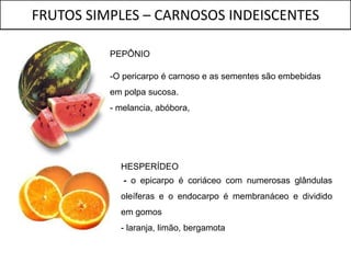 FRUTOS SIMPLES – CARNOSOS INDEISCENTES

          PEPÔNIO

          -O pericarpo é carnoso e as sementes são embebidas
          em polpa sucosa.
          - melancia, abóbora,




            HESPERÍDEO
             - o epicarpo é coriáceo com numerosas glândulas
            oleíferas e o endocarpo é membranáceo e dividido
            em gomos
            - laranja, limão, bergamota
 