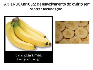 PARTENOCÁRPICOS: desenvolvimento do ovário sem
             ocorrer fecundação.




      Banana, Limão Taiti,
       Laranja de umbigo
 