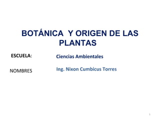 BOTÁNICA Y ORIGEN DE LAS
          PLANTAS
ESCUELA:   Ciencias Ambientales

NOMBRES    Ing. Nixon Cumbicus Torres




                                        1
 