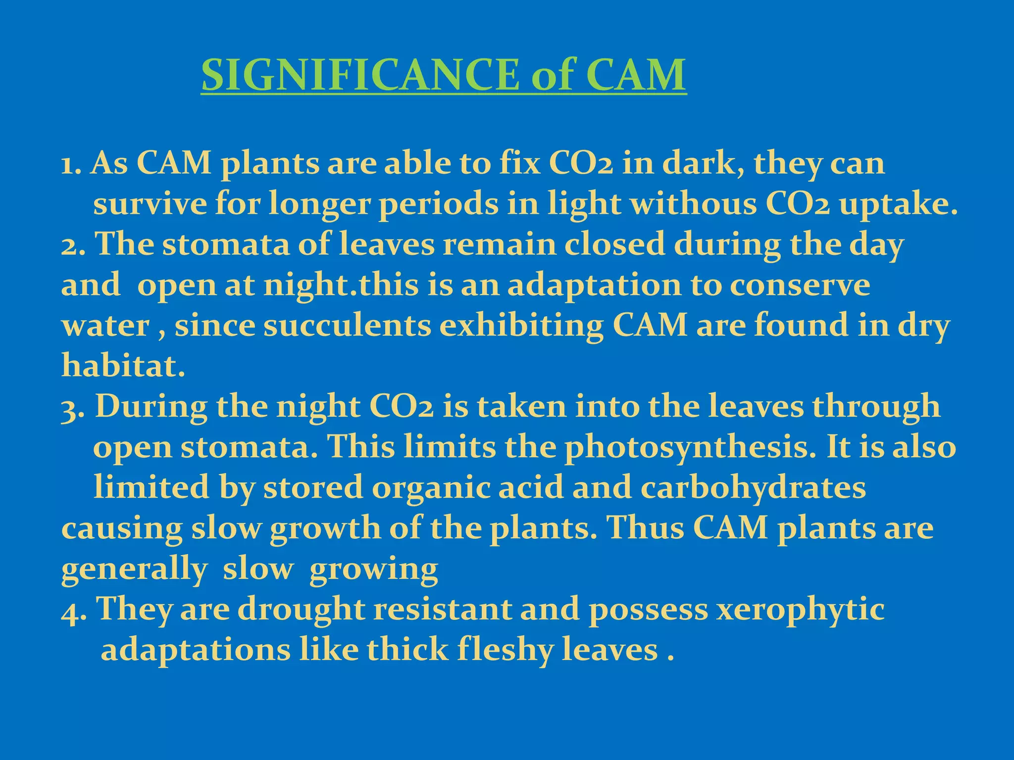 SIGNIFICANCE of CAM
1. As CAM plants are able to fix CO2 in dark, they can
survive for longer periods in light withous CO2 uptake.
2. The stomata of leaves remain closed during the day
and open at night.this is an adaptation to conserve
water , since succulents exhibiting CAM are found in dry
habitat.
3. During the night CO2 is taken into the leaves through
open stomata. This limits the photosynthesis. It is also
limited by stored organic acid and carbohydrates
causing slow growth of the plants. Thus CAM plants are
generally slow growing
4. They are drought resistant and possess xerophytic
adaptations like thick fleshy leaves .
 