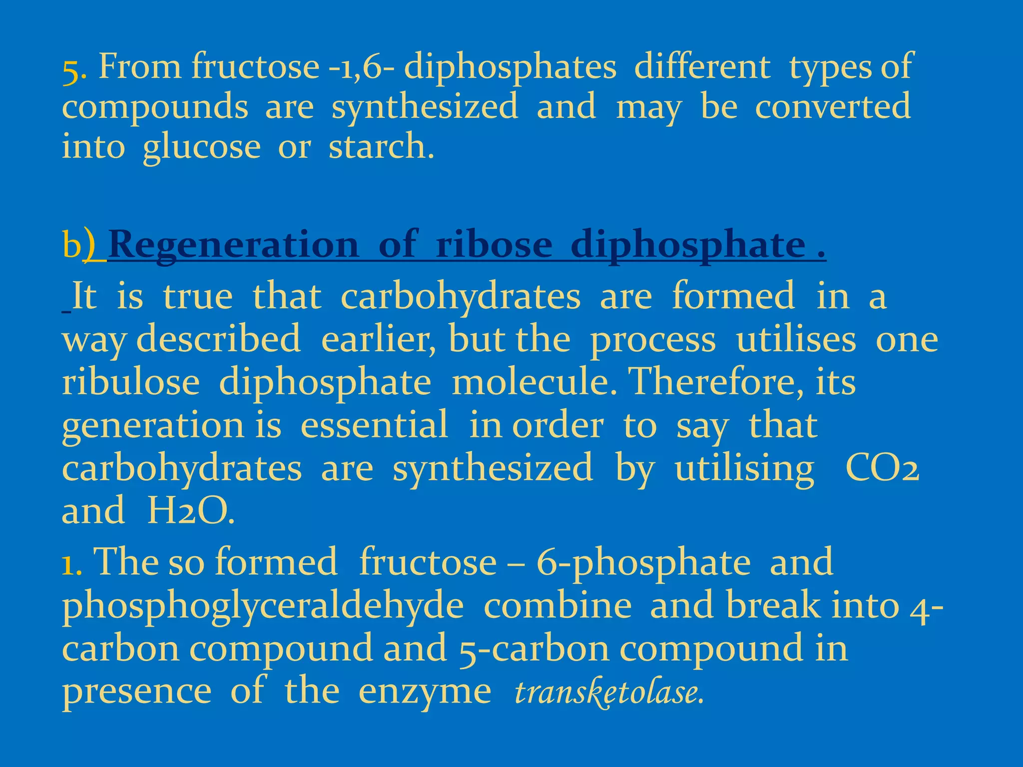 5. From fructose -1,6- diphosphates different types of
compounds are synthesized and may be converted
into glucose or starch.
b) Regeneration of ribose diphosphate .
It is true that carbohydrates are formed in a
way described earlier, but the process utilises one
ribulose diphosphate molecule. Therefore, its
generation is essential in order to say that
carbohydrates are synthesized by utilising CO2
and H2O.
1. The so formed fructose – 6-phosphate and
phosphoglyceraldehyde combine and break into 4-
carbon compound and 5-carbon compound in
presence of the enzyme transketolase.
 