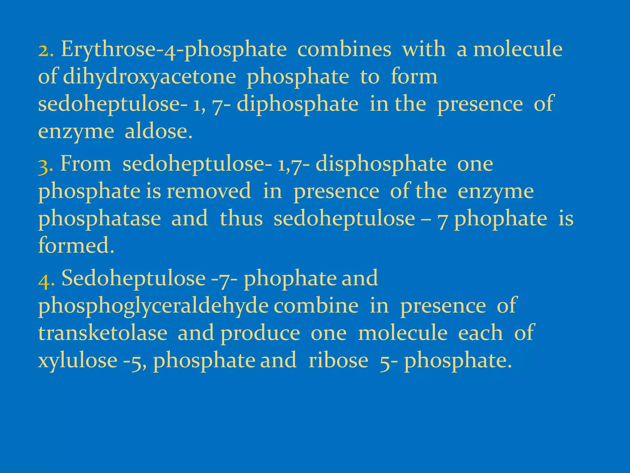 2. Erythrose-4-phosphate combines with a molecule
of dihydroxyacetone phosphate to form
sedoheptulose- 1, 7- diphosphate in the presence of
enzyme aldose.
3. From sedoheptulose- 1,7- disphosphate one
phosphate is removed in presence of the enzyme
phosphatase and thus sedoheptulose – 7 phophate is
formed.
4. Sedoheptulose -7- phophate and
phosphoglyceraldehyde combine in presence of
transketolase and produce one molecule each of
xylulose -5, phosphate and ribose 5- phosphate.
 