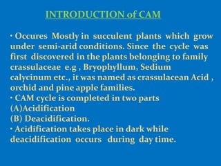 C3,C4 & CAM pathway | PPTX