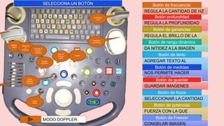 FUERZA CON LA QUE
PENETRA ONDA DE SONIDO
SELECCIONAR LA CANTIDAD
DE FOCOS
GUARDAR IMAGENES
NOS PERMITE HACER
MEDICIONES
AGREGAR TEXTO AL
ESTUDIO
REGULA EL BRILLO DE LA
IMAGEN
REGULA LA PROFUNDIDAD
DEL ESTUDIO
Botón de frecuencia:
Botón profundidad
Botón de ganancias
Botón de rango dinámico
Botón de texto
Botón de medidas
Botón de guardar
Botón de focos
Botón de potencias
Botón de Freezer
MODO DOPPLER
SELECCIONA UN BOTÓN
REGULA LA CANTIDAD DE HZ
DA NITIDEZ A LA IMAGEN
CONGELAR IMAGEN
Registro del
paciente
Selección
de
trasductor
Ingresas al
estudio
(reposte)
Doppler
espectral
Modo M
(valorar
vasos)
Doppler
Borrar
medidas7
escritura
Caliper
/flecha
Trasductor
lineal
Trasductor
volumetrico
 