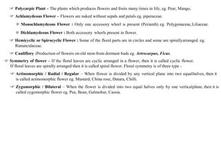 Spirocyclic Flower Botony 2.pdf