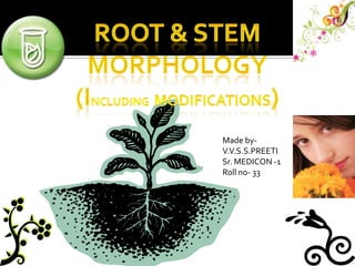 Root & stEMmoRPHOLOGY (including  MODIFICATIONS) Made by- V.V.S.S.PREETI Sr. MEDICON -1 Roll no- 33 