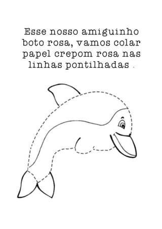 Boto rosa atividade e historinha