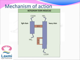 Mechanism of action
 