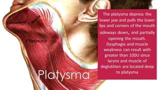 ADVANCED BOTOX COURSE.PART II. HOW TO INJECT BOTOX SAFELY?