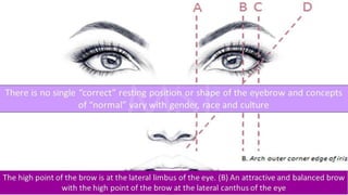 ADVANCED BOTOX COURSE.PART II. HOW TO INJECT BOTOX SAFELY?