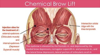 ADVANCED BOTOX COURSE.PART II. HOW TO INJECT BOTOX SAFELY?
