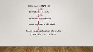 Botox cleaves SNAP- 25
Formation of SNARE
release of acetylcholine
nerve impulses are blocked
flaccid (sagging) Paralysis of muscles
(characteristic of botulism)
 