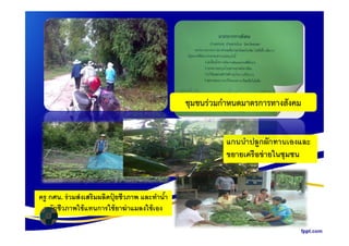 ชุมชนรวมกําหนดมาตรการทางสังคม
ครู กศน. ร่วมส่งเสริมผลิตปุ๋ ยชีวภาพ และทํานํา
หมักชีวภาพใช้แทนการใช้ยาฆ่าแมลงใช้เอง
แกนนําปลูกผักทานเองและ
ขยายเครือข่ายในชุมชน
 