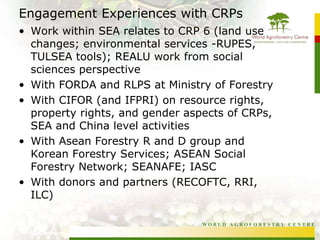 United Nations Development Program