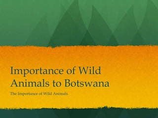 Importance of Wild
Animals to Botswana
The Importance of Wild Animals
 