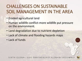 CHALLENGES ON SUSTAINABLE
SOIL MANAGEMENT IN THE AREA
• Eroded agricultural land
• Human wildlife conflict-more wildlife put pressure
on the environment.
• Land degradation due to nutrient depletion
• Lack of climate and flooding hazards maps
• Lack of funds
 