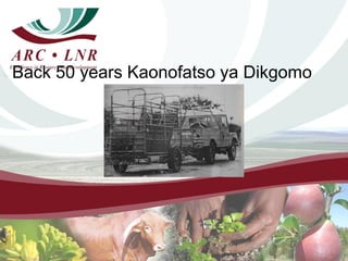 Development and mentorship: Beef profit partnerships experiences