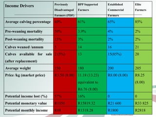 Development and mentorship: Beef profit partnerships experiences
