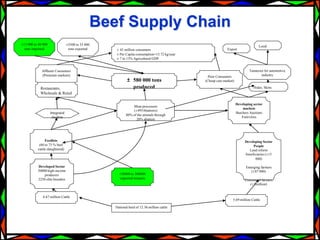 Development and mentorship: Beef profit partnerships experiences