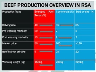 Development and mentorship: Beef profit partnerships experiences