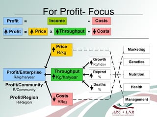 Development and mentorship: Beef profit partnerships experiences