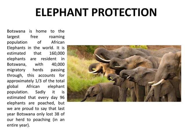 Botswana Sustainable Tourism PPT
