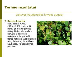  Beržas keružis
(lot. Betula nana)
(37 stotelė) – viena iš
beržų (Betula) genties
rūšių. Lietuvoje beržas
keružis labai retas,
nykstantis ledynmečio
floros reliktas. Aptinkamas
Alių, Šepetos, Isputiškės,
Laukesos, Raudonplynio
pelkėse.
Tyrimo rezultatai
Lietuvos Raudonosios knygos augalai
 