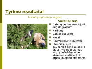 Tyrimo rezultatai
Vakarinė tuja
 Indėnų gentys naudojo šį
augalą gydant:
 Karštinę
 Galvos skausmą,
 Kosulį
 Reumatinius skausmus.
 Eterinis aliejus,
gaunamas distiliuojant jo
lapus, yra naudojamas
kaip priešuždegiminė,
skausmą malšinanti ir
atpalaiduojanti priemonė.
Sveikatą stiprinantys augalai
 